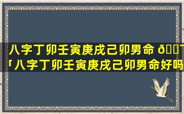 八字丁卯壬寅庚戌己卯男命 🐯 「八字丁卯壬寅庚戌己卯男命好吗」